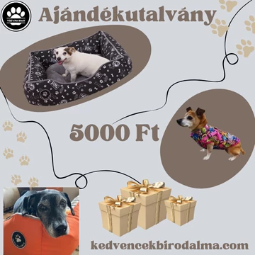 Ajándékutalványok