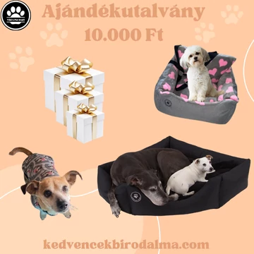 Ajándékutalványok