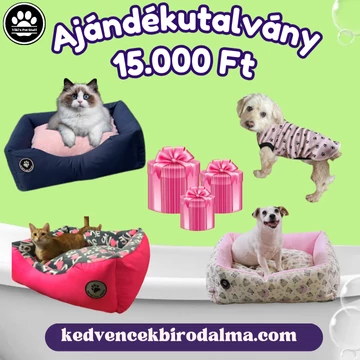 Ajándékutalványok