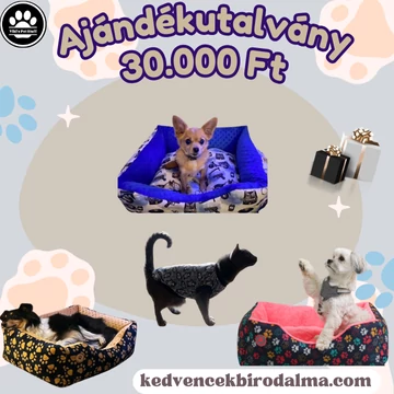 Ajándékutalványok