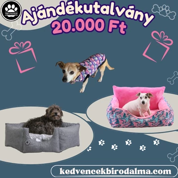 Ajándékutalványok